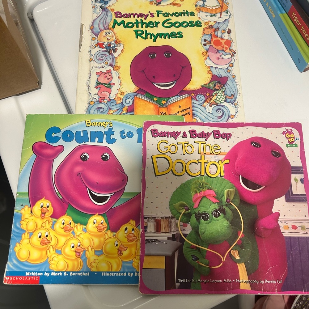 90s Barney Books Lot